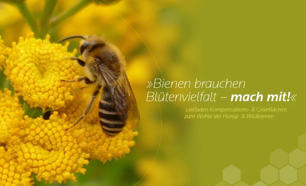 Bienen brauchen Blütenvielfalt